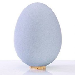 El Saltshaker