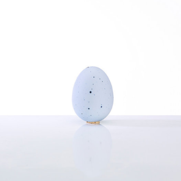 El Saltshaker